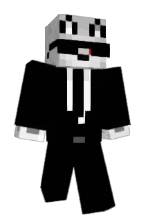 PM112 Minecraft avatar full body