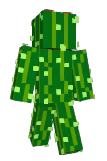 PMR416114 Minecraft avatar full body