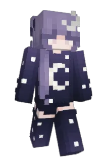 PMdu882 Minecraft avatar full body