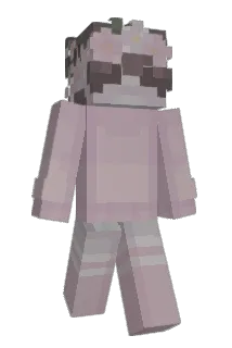 PNWstargazing Minecraft avatar full body