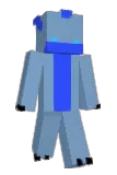 POBLEM Minecraft avatar full body