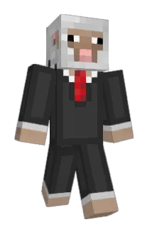POGI18 Minecraft avatar full body