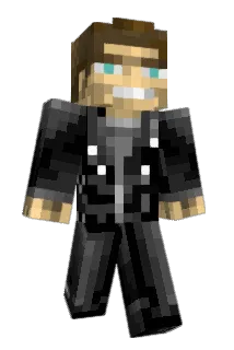 POL249 Minecraft avatar full body