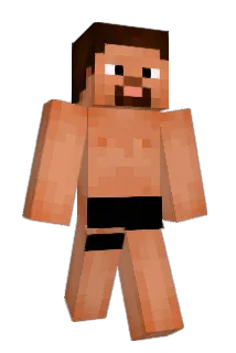 POL_C Minecraft avatar full body