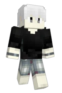 POOMIK Minecraft avatar full body