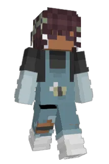 POORDOVE Minecraft avatar full body