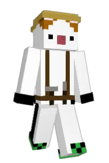 POPCAT_9 Minecraft avatar full body