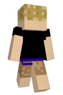 POW08 Minecraft avatar full body