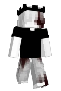 PP_Plub Minecraft avatar full body