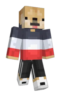 PPatrick Minecraft avatar full body