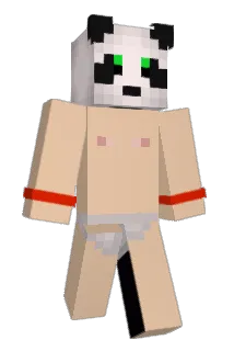 PPdestroyer4 Minecraft avatar full body