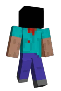 PPiSP Minecraft avatar full body