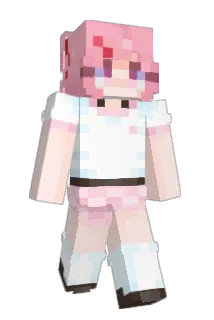 PRDev Minecraft avatar full body