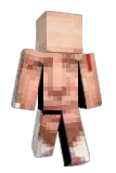 PROAKSEL Minecraft avatar full body