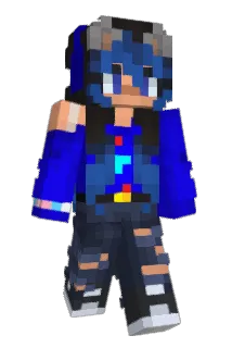 PRR628 Minecraft avatar full body