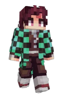 PT1059 Minecraft avatar full body