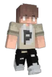 PTEKR Minecraft avatar full body