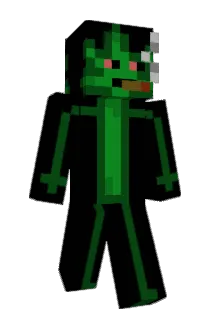 PTQFA Minecraft avatar full body