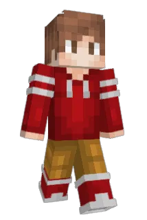 PUG2291 Minecraft avatar full body