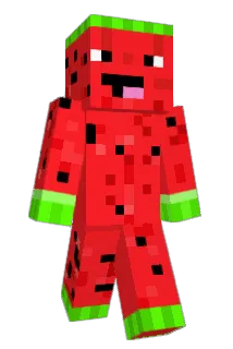 PVOPARAS Minecraft avatar full body