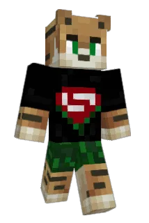 PVP_PRO999 Minecraft avatar full body