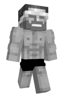 PV_13 Minecraft avatar full body
