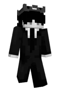 PXIHS Minecraft avatar full body