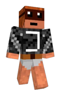 PXJ19 Minecraft avatar full body