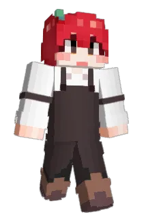 PYEON0225 Minecraft avatar full body