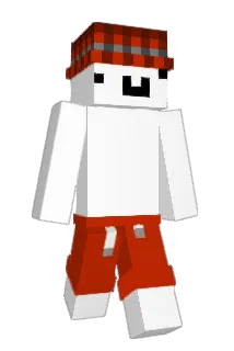 PZOZ Minecraft avatar full body
