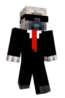 P_E_K Minecraft avatar full body