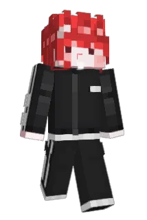P_Hwane Minecraft avatar full body