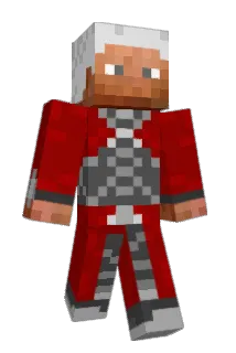 P_NC Minecraft avatar full body