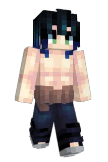 P_Skips Minecraft avatar full body