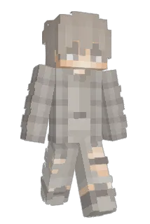 P_T3 Minecraft avatar full body