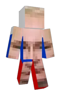 P_U_T_I_N Minecraft avatar full body