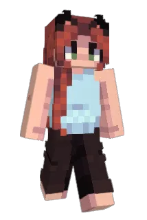 Pa1nFluff Minecraft avatar full body
