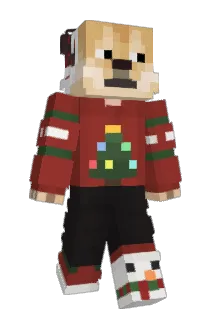 PaBel56 Minecraft avatar full body