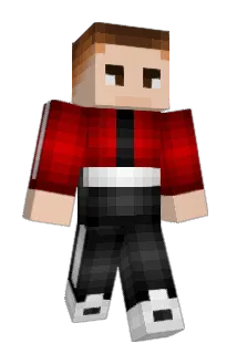PaMoeNii Minecraft avatar full body