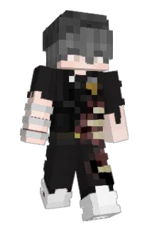 Paauley Minecraft avatar full body