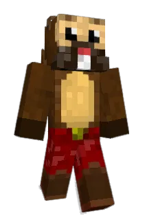 Pachu1337 Minecraft avatar full body