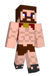 Package23 Minecraft avatar full body
