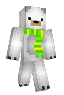 Packerboy07 Minecraft avatar full body