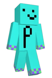 Pactt Minecraft avatar full body