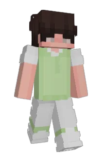PaddyJoe Minecraft avatar full body