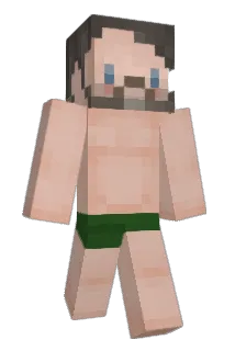 Paddysd Minecraft avatar full body