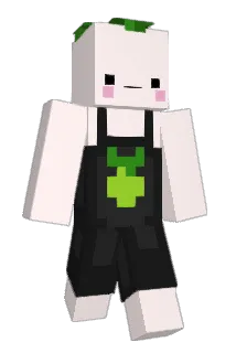 Paesoo Minecraft avatar full body
