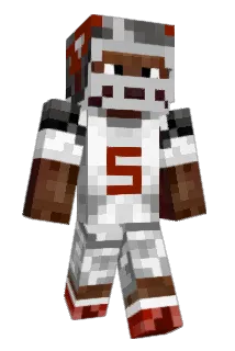 Pags24 Minecraft avatar full body