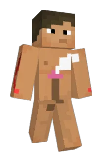 PaiBruno Minecraft avatar full body