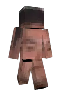 Painakotta Minecraft avatar full body